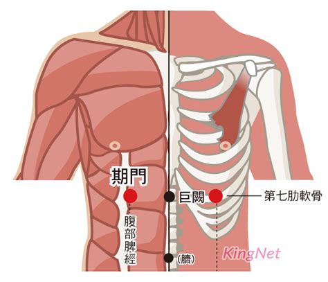 旗門穴|期門穴:基本簡介,名解,臨床治療,辯證,治療,相關連結,肝。